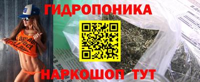сатива Лесосибирск
