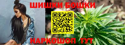 сатива Лесосибирск