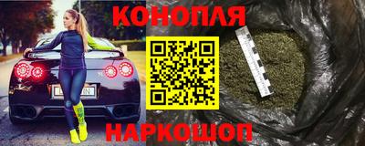 сатива Лесосибирск