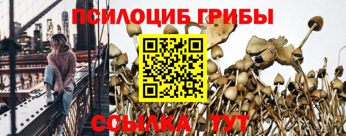 Галлюциногенные грибы MAGIC MUSHROOMS Вольск